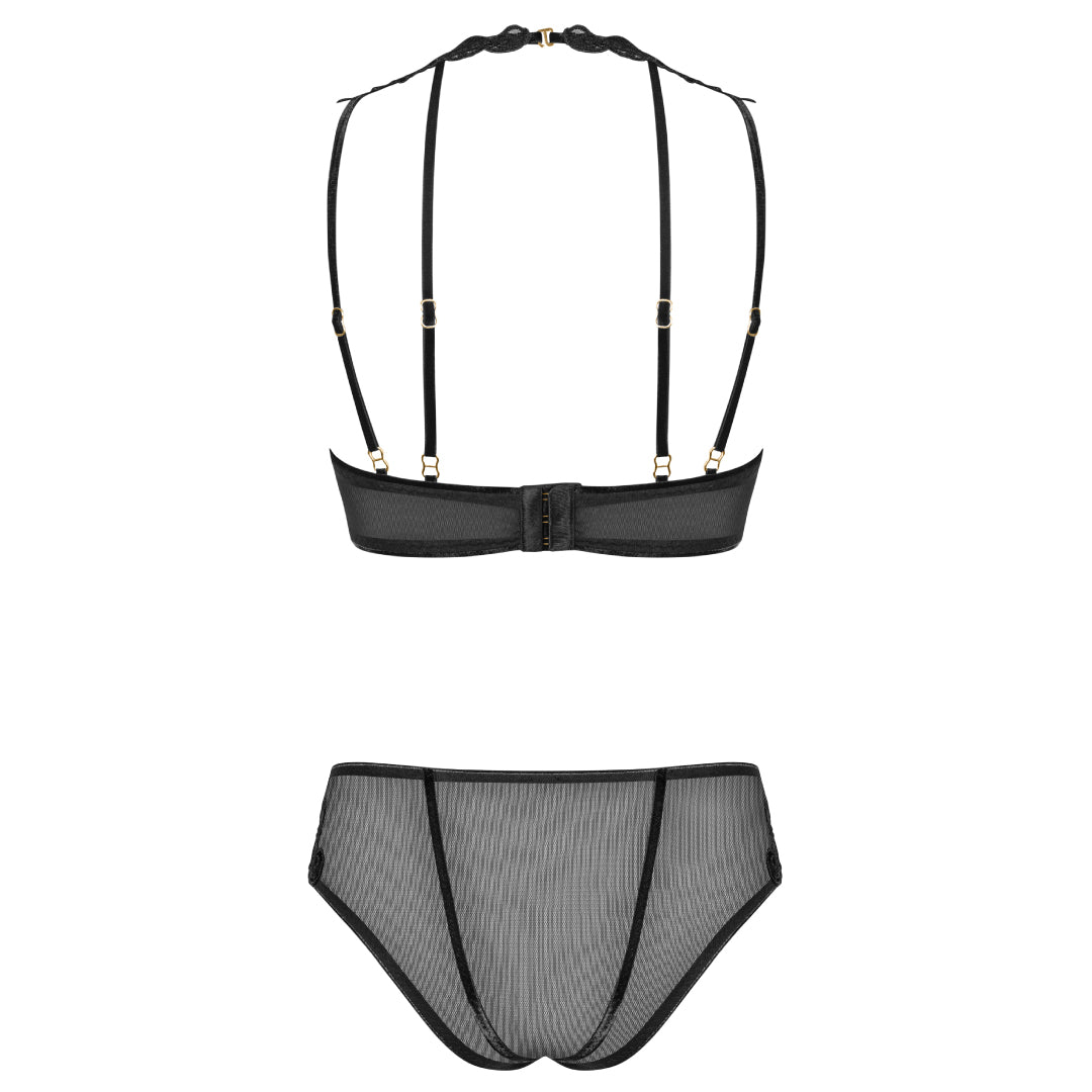 Sexy Sheer Demi Bra & Mesh Bikini Panty Set Majesty — view 4