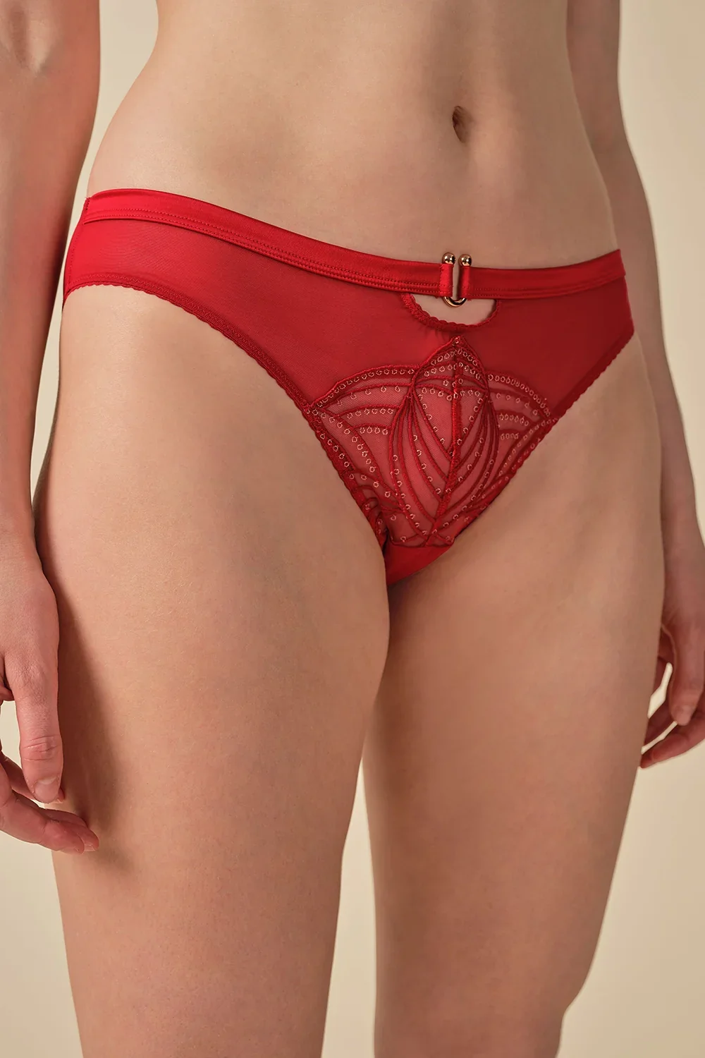 Gossard Viva Red Sheer Embroidered Bikini Panties