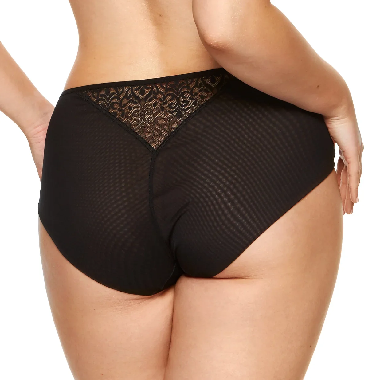 Gorteks Gabi Black Sheer High Waist Full Brief Panty — view 4