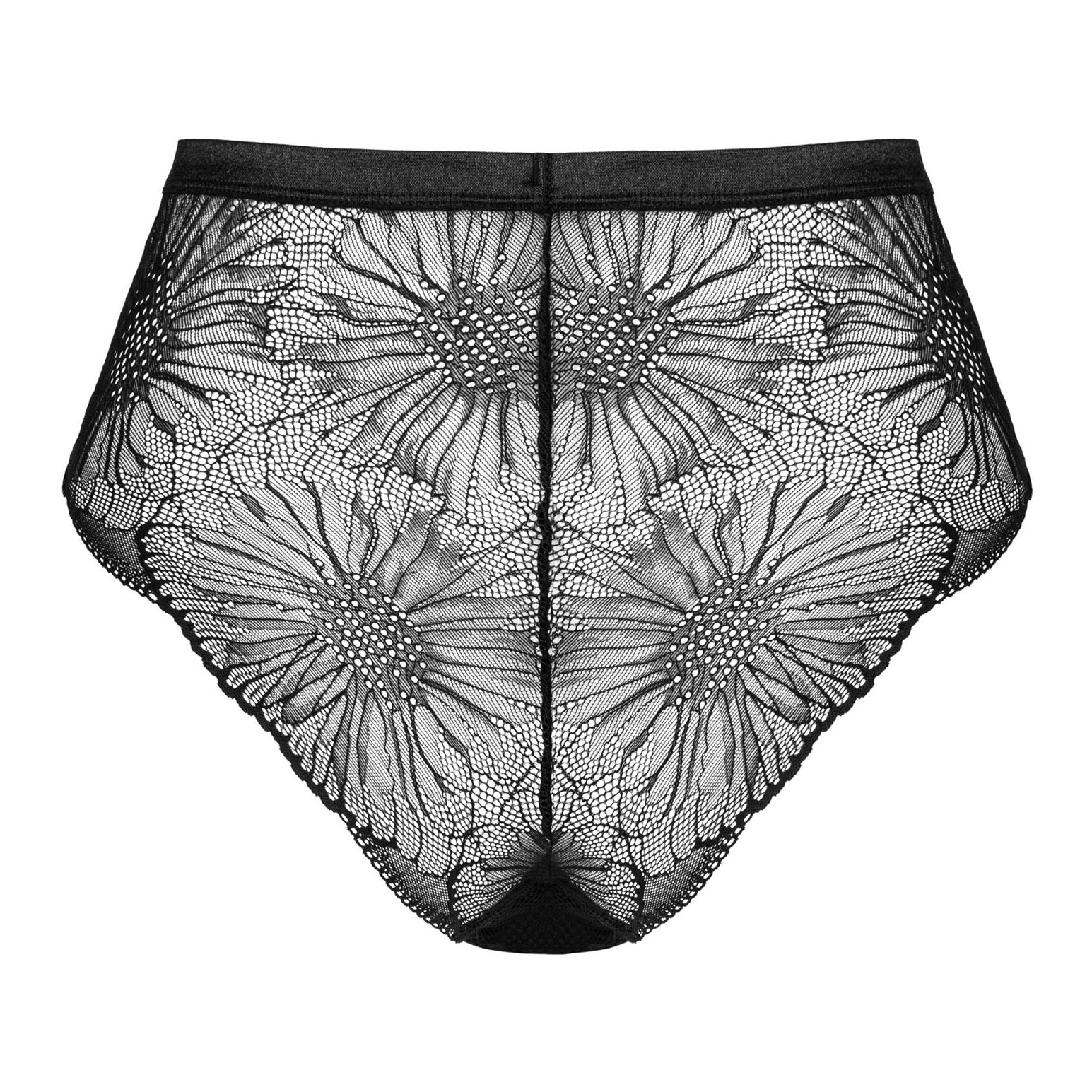 Obsessive Mibelia Lace Cutout Panty — view 4