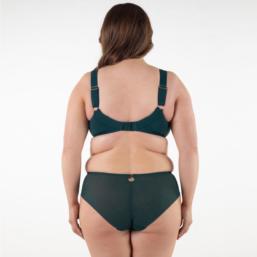 Samanta Boobie Emerald Sheer Mesh Tulle Embroidered Brief Panty — view 7