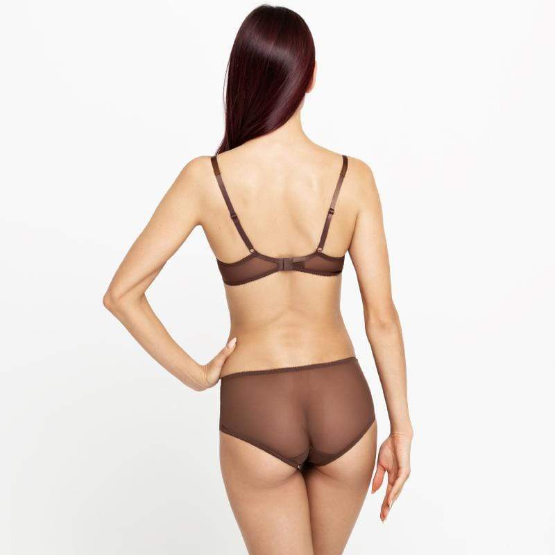 Lace Boyshort Panty Teaselle Charm — view 4