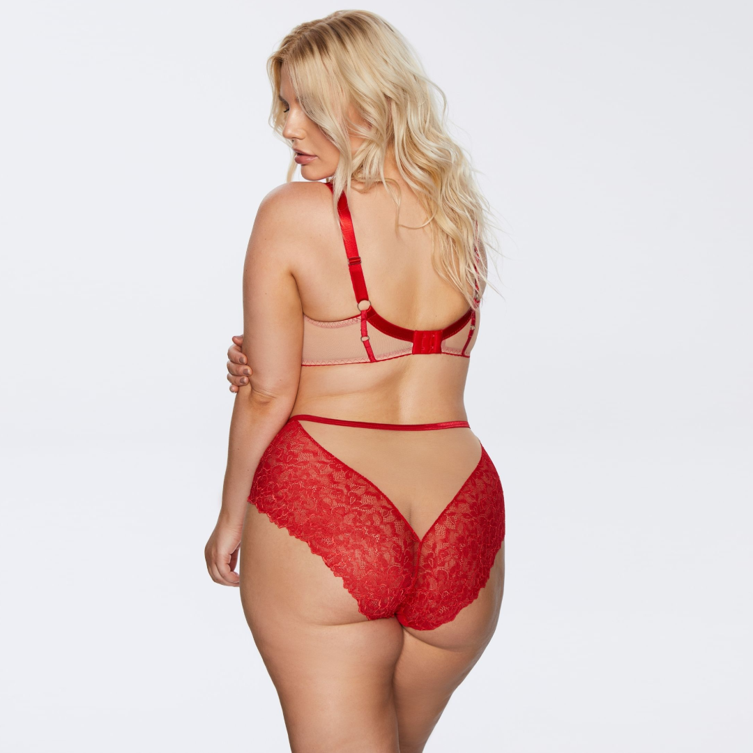 Kinga Mind Love Sheer Mesh Full Busted Lace Bra — view 4