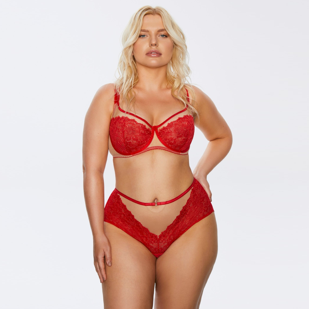 Kinga Mind Love Soft Lace High Waist Brief Panty — view 3