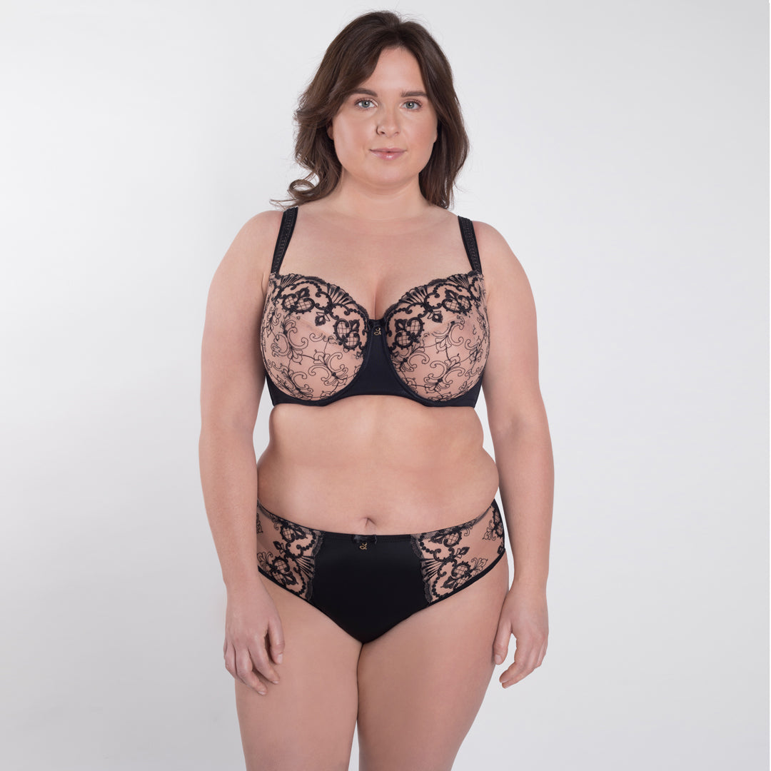 Samanta Perla Black Sheer Mesh Tulle Embroidered Brief Panty — view 5