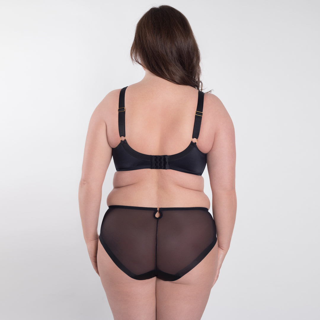 Samanta Perla Black Sheer Mesh Tulle Embroidered Brief Panty — view 4